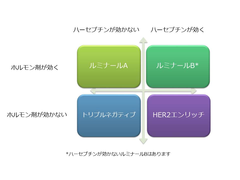 サブタイプ1