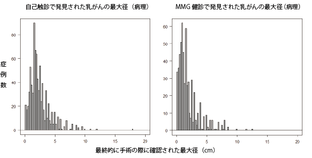 発見時サイズ