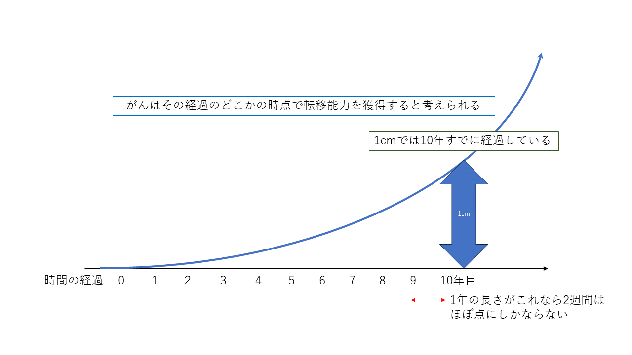 プレゼンテーション1